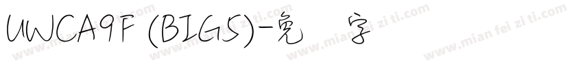 UWCA9F (BIG5)字体转换